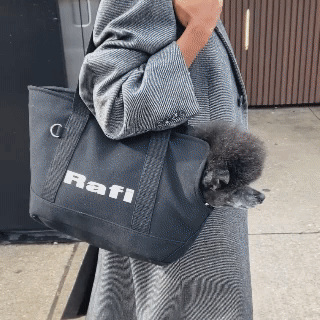 Canvas Carrier