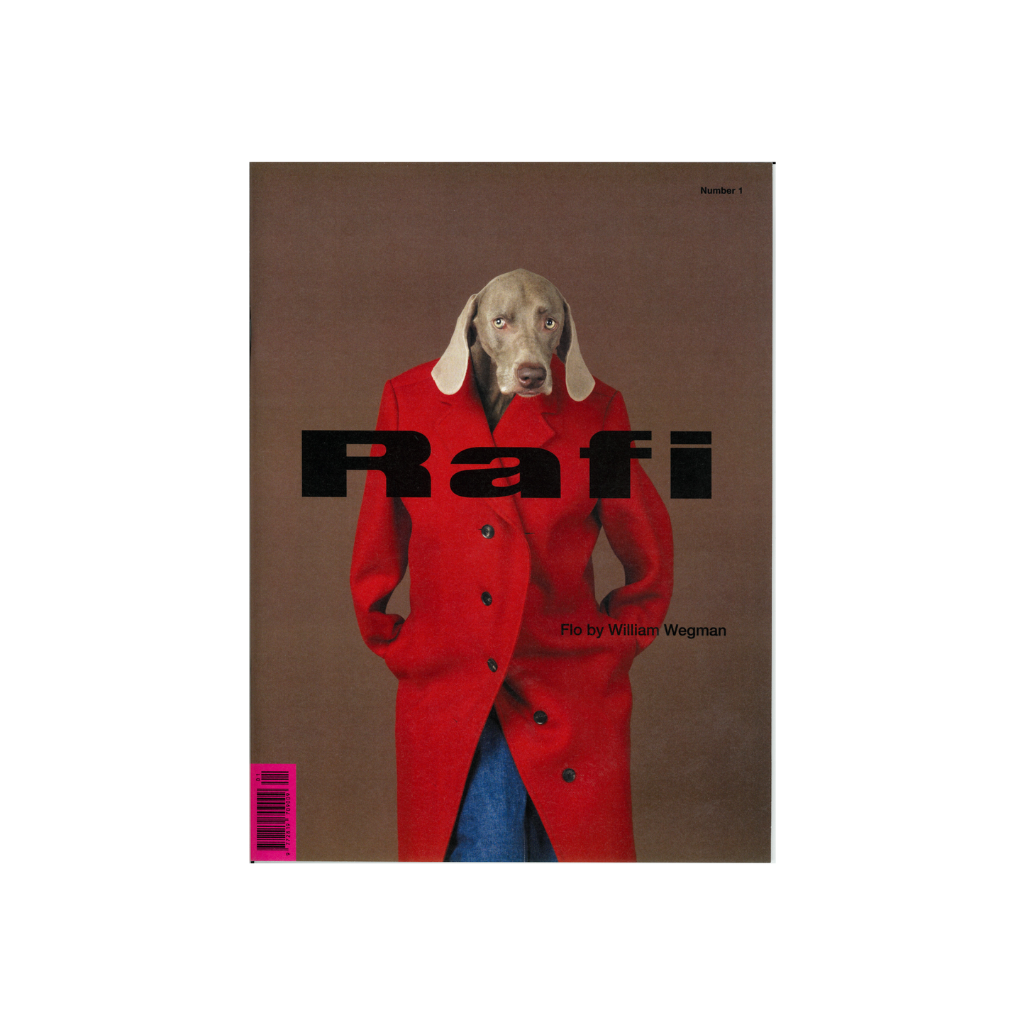 Rafi Zine Number 1